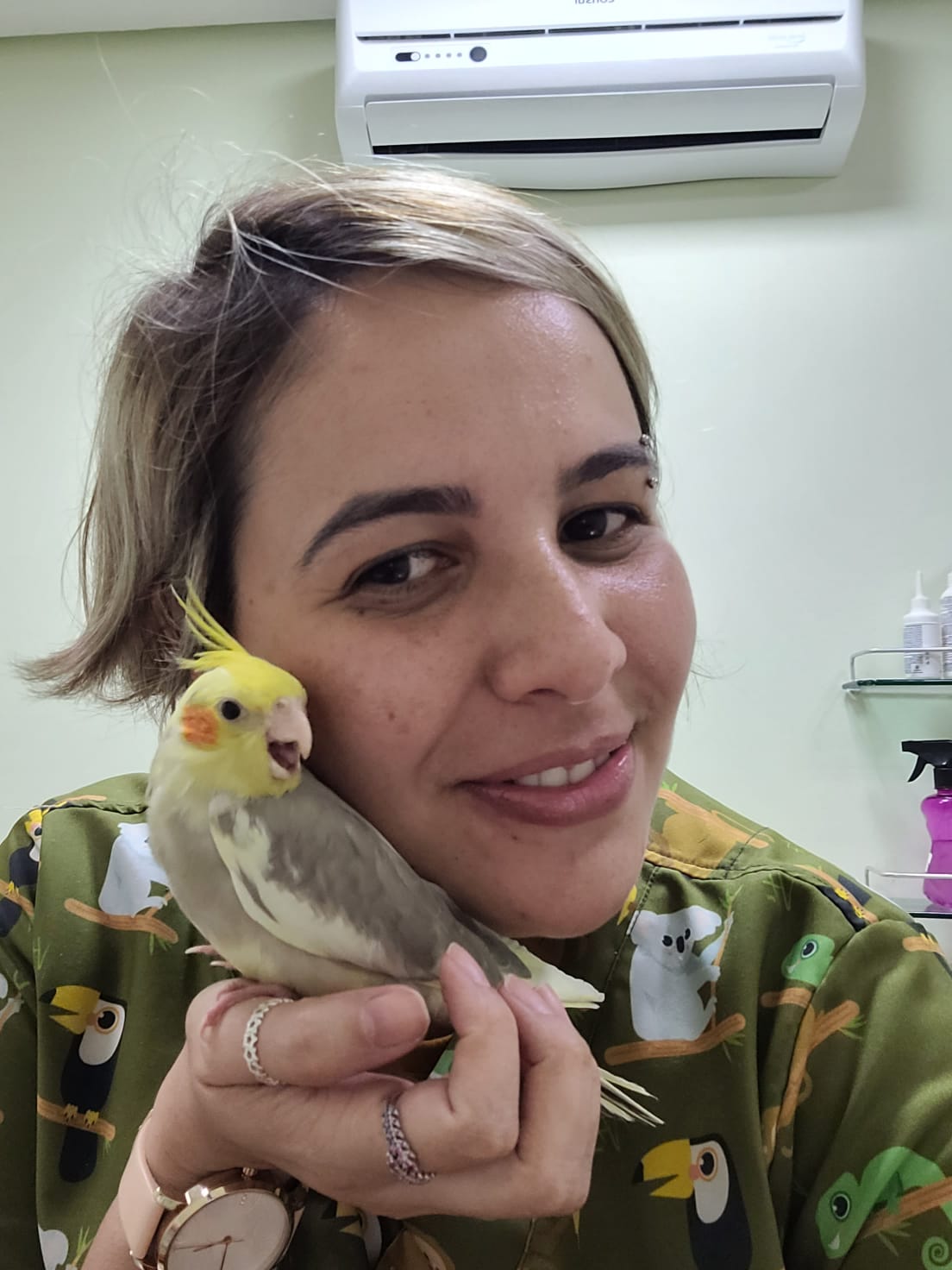 Veterinaria Dr. Andressa antendendo uma Calopsita