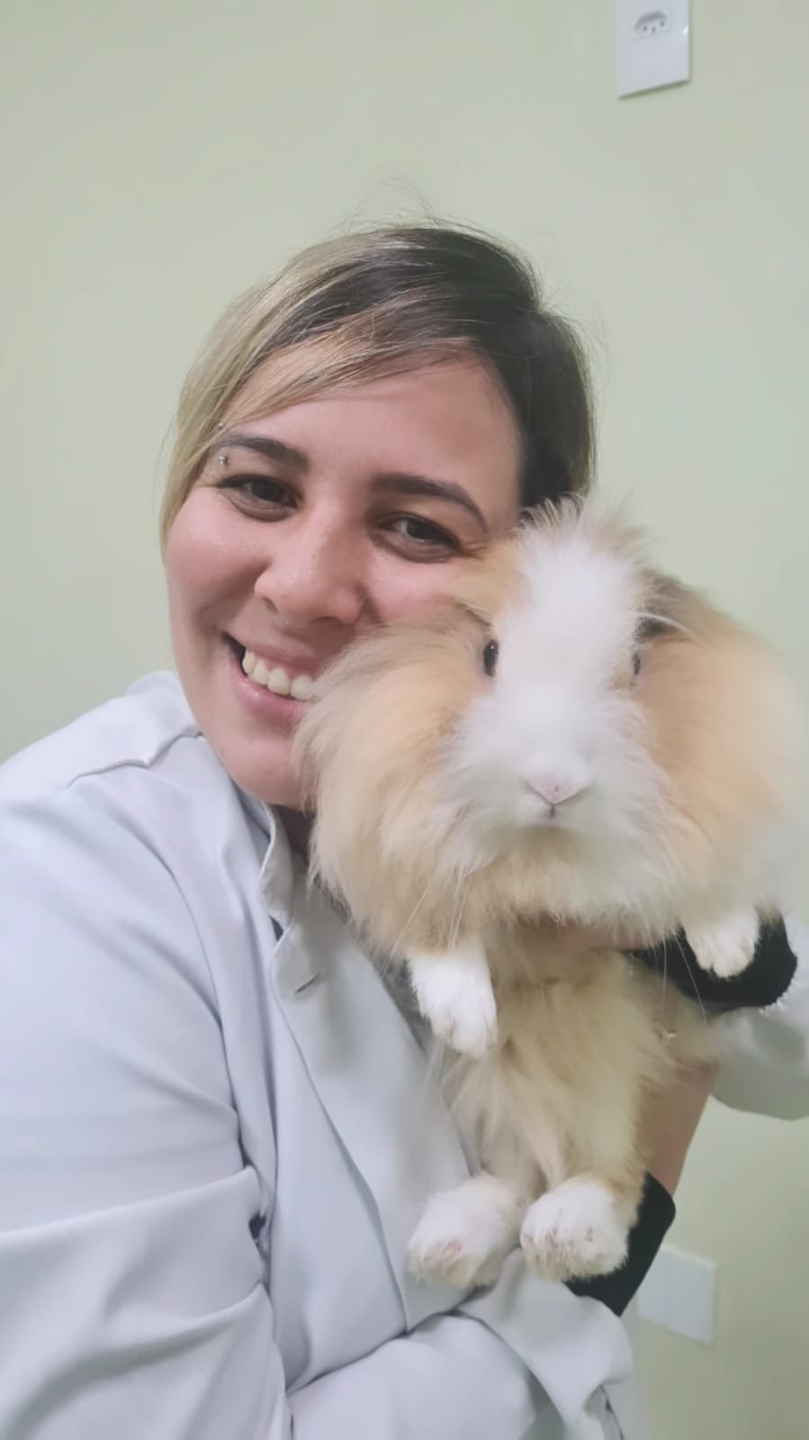 Veterinaria Dr. Andressa antendendo um Coelho