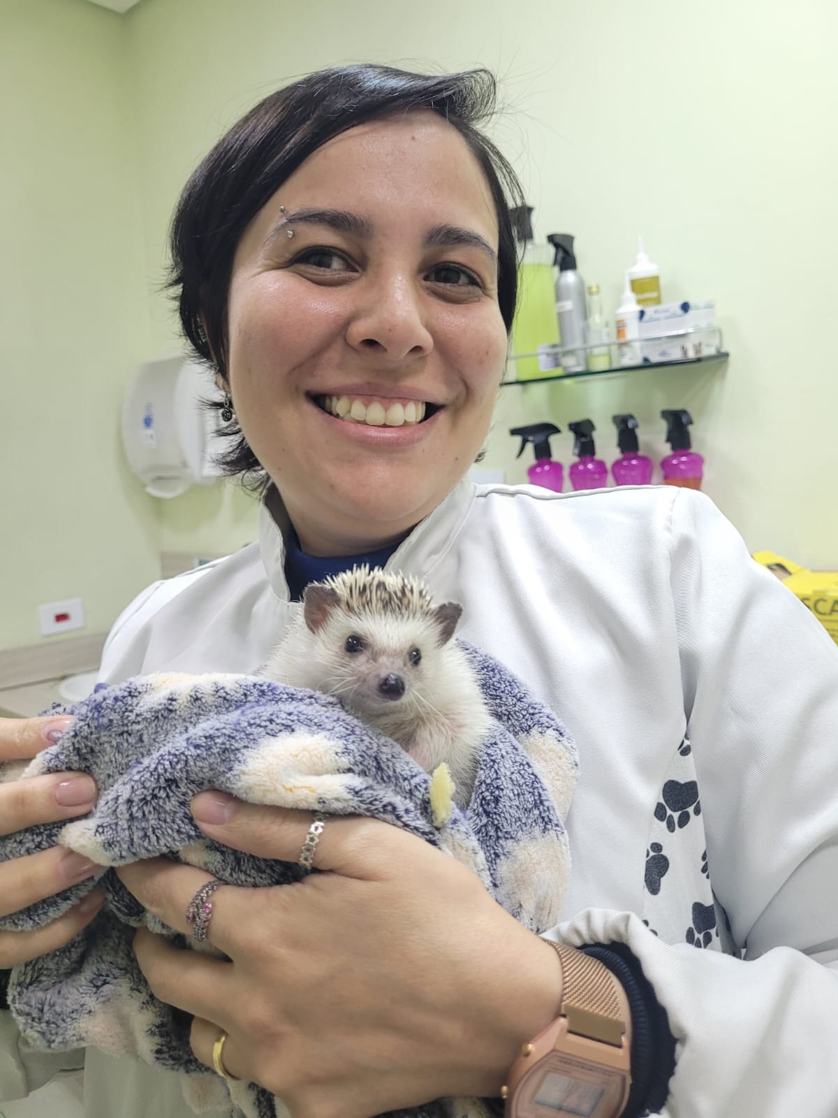 Veterinaria Dr. Andressa antendendo um Hedgehog