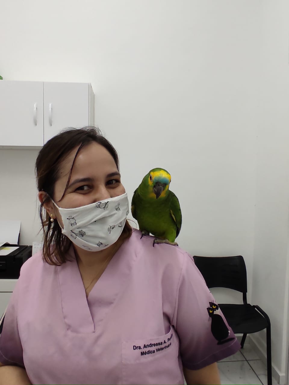 Veterinaria Dr. Andressa antendendo um Papagaio